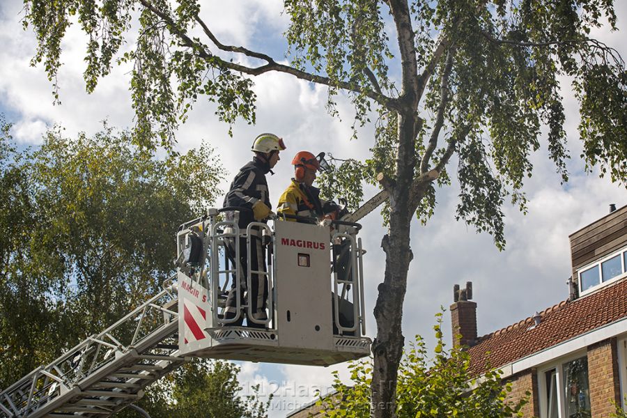 Brandweer zaagt scheef staande boom in stukken