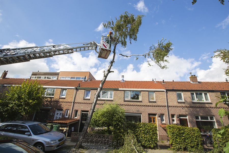 Brandweer zaagt scheef staande boom in stukken