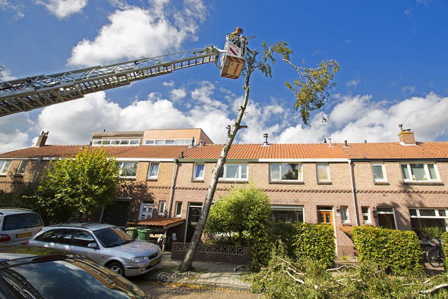 Brandweer zaagt scheef staande boom in stukken