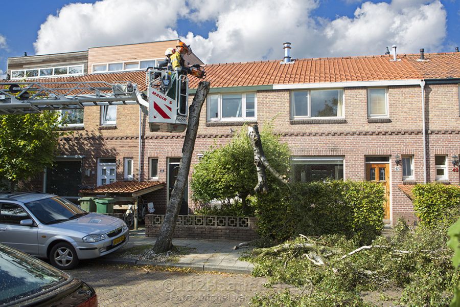 Brandweer zaagt scheef staande boom in stukken
