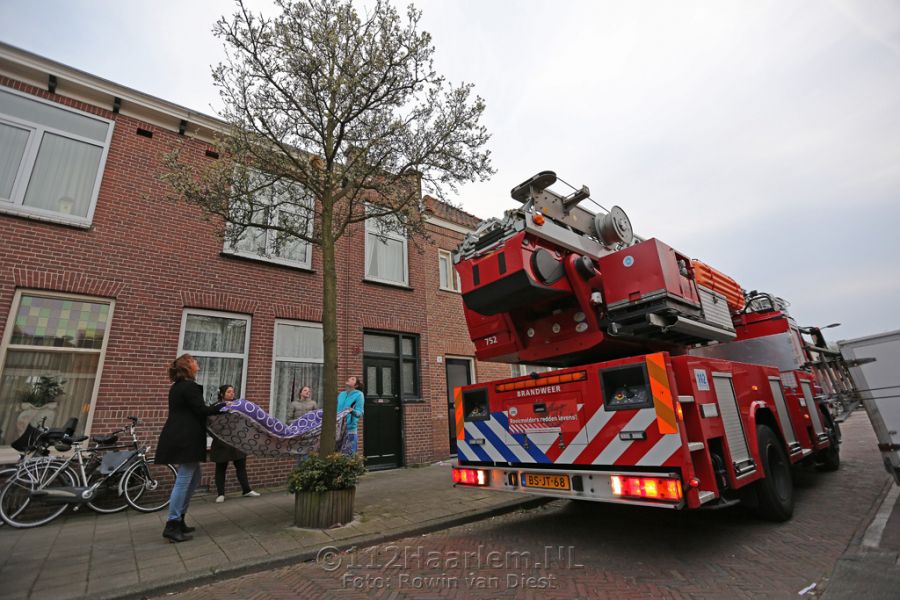 Kat door brandweer uit boom gered in Leidsebuurt Haarlem